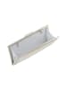faina Women Clutch in Silver