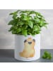 Mr. & Mrs. Panda Blumentopf Mops Krone ohne Spruch in Weiß