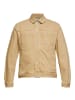 ESPRIT Denim-Jacke in Sand