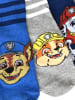 Paw Patrol 5er Pack Paw Patrol Socken Chase, Marshall & Rubble Söckchen in Mehrfarbig