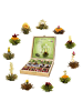 Creano Holzpräsentbox MIXED 12 Teeblumen Grüner/Weißer/Schwarzer Tee