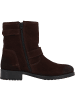 Palado Stiefeletten Jostle in Braun