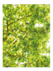 Juniqe Duschvorhang "Hazel Tree" in Grün & Weiß