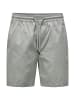 Only&Sons Shorts 'Tell Life 0119' in grau