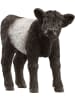 Schleich Galloway Kalb in Mehrfarbig ab 3 Jahre