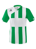 erima Siena 3.0 Trikot in smaragd/weiss