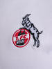 Hummel Hummel T-Shirt 1Fck 23/24 Fußball Erwachsene Schnelltrocknend in WHITE/TRUE RED