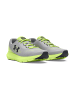 Under Armour Sneakers Low UA BGS Charged Rogue 4 Y in grau
