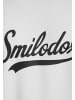 SMILODOX T-Shirt Lorik in Hellgrau