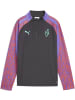 Puma Trainingsjacke "Neymar JR Creativity 1/4 zip Jr" in Grau