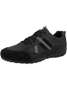 Geox Sneaker low U Ravex A in schwarz