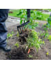 Hammersmith All-in-One Werkzeug für den Garten RayzerShovel in Grün
