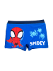 Spiderman Marvel Spidey Badehose Jungen Badepants in Blau
