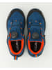 cmp Schnürschuhe in Blau