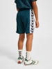 Hummel Kurze Hose Hmljr Chevron Kinder in REFLECTING POND