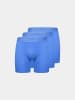 Erlich Textil  LIGHT TOUCH LANGE PANTS IM 3er PACK in kobaltblau