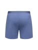 Erlich Textil  Erlich Textil weite Boxershorts CASUAL COTTON BOXERS in graublau
