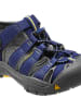 Keen Newport H2 Sandale in Blau