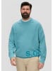 s.Oliver Sweatshirt in 6565_türkis