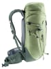 Deuter Trekkingrucksack in grün