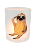 Mr. & Mrs. Panda Windlicht Faultier Vogel ohne Spruch in Transparent
