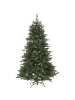 STAR Trading Künstlicher Weihnachtsbaum Bergen, groß, 180cm in Grün