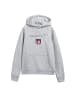 Gant Sweatshirt in Grau