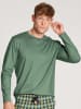 Calida Shirt langarm in Stone green