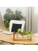 relaxdays Reagenzglas Vase "Rund" in Klar/ Natur