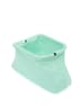 Nolie Women Clutch in Light Green