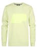 Petrol Industries Sweater mit Aufdruck Harborview in Grün