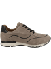 Caprice Sneaker low 9-23750-29 in braun