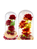 Wisam® Ewige Rose Glaskuppel LED Rot Deko 21,5 cm