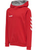 Hummel Hummel Cotton Kapuzenpullover Hmlgo Multisport Unisex Kinder in TRUE RED