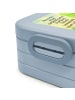 Mr. & Mrs. Panda Bentobox Blume Kleeblatt Design mit Spruch in Blau Pastell