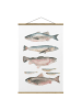 WALLART Stoffbild mit Posterleisten - Sieben Fische in Aquarell I in Pastell