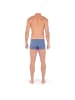 HOM Boxershort 2er Pack in Midblue