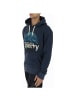 Superdry Sweatshirt Grau