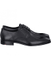 LLOYD Business Schuhe in Schwarz