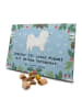 Mr. & Mrs. Panda Hunde Adventskalender Havaneser Moment mit Spruch in Eisblau