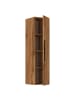VCM  Holz Wandregal Wandschrank Klappschrank Arila XL in Honig-Eiche