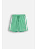 Coccodrillo Kurze Baumwollshorts in grün