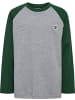 Hummel Kinder Longsleeve "Raglan Loose T-Shirt Longsleeve Bee" in Grün