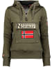 Geographical Norway Hoodie "Gymclass Db Men 100" in Khaki