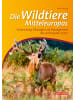 Quelle & Meyer Buch - Die Wildtiere Mitteleuropas