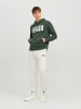Jack & Jones Sweat Hoodie Kapuzen Pullover Sweatshirt JJECORP in Grün