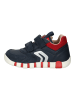 Geox Sneaker in Navy/Rot