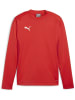 Puma Pullover "TeamGoal Training Sweat" in Rot