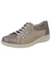 Solidus Halbschuh in marmo/taupe