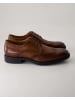 Daniel Kenneth Klassische Schnürschuhe in Braun